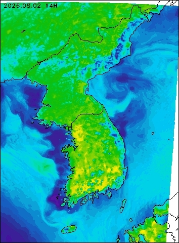 2025-08-02 14 : 00