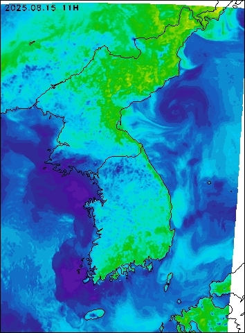 2025-08-15 11 : 00