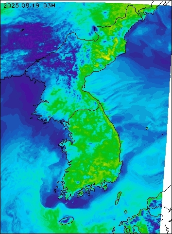 2025-08-19 03 : 00