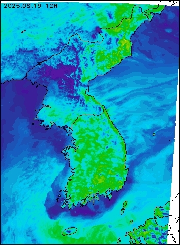 2025-08-19 12 : 00