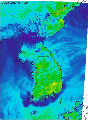2025-08-19 13 : 00
