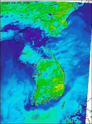 2025-08-19 16 : 00