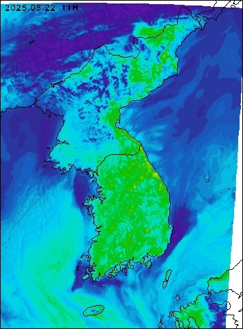 2025-08-22 11 : 00