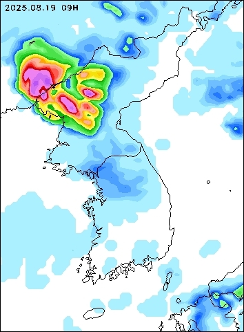 2025-08-19 09 : 00