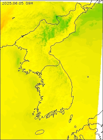 2025-06-05 09 : 00