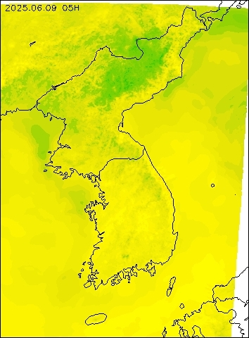 2025-06-09 05 : 00
