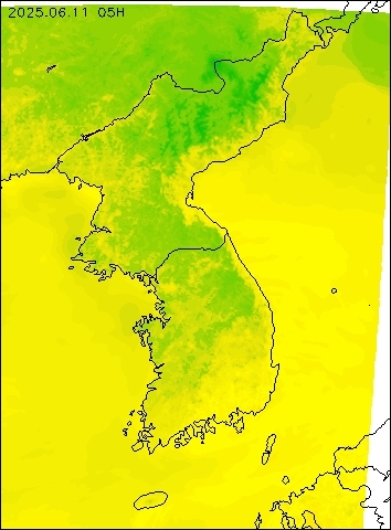 2025-06-11 05 : 00