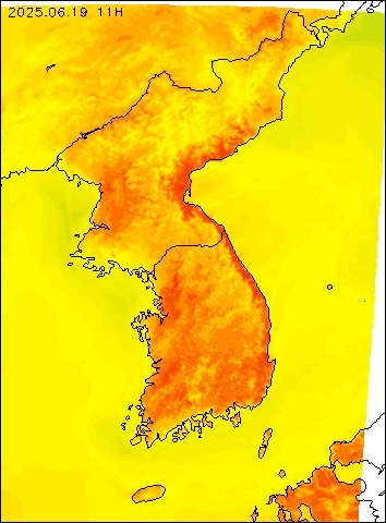 2025-06-19 11 : 00