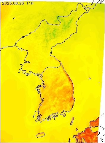 2025-06-20 11 : 00