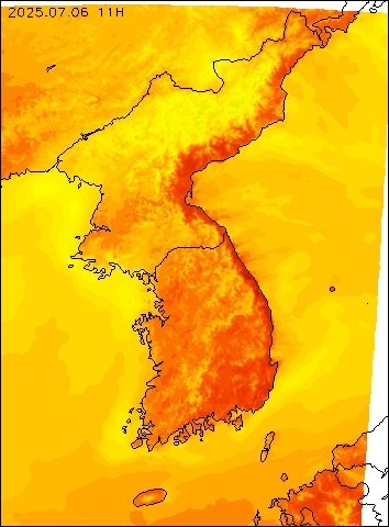 2025-07-06 11 : 00