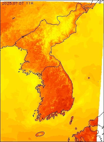 2025-07-07 11 : 00