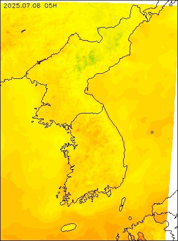 2025-07-08 05 : 00