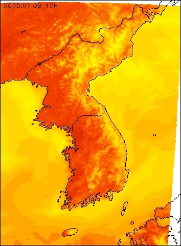 2025-07-09 12 : 00