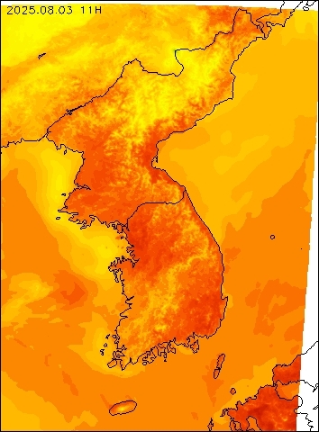 2025-08-03 11 : 00