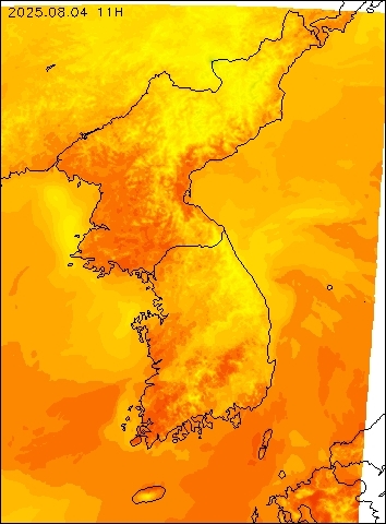 2025-08-04 11 : 00