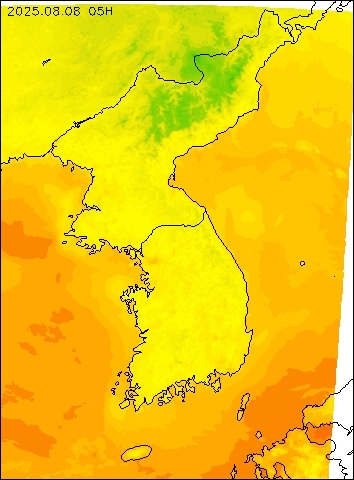 2025-08-08 05 : 00