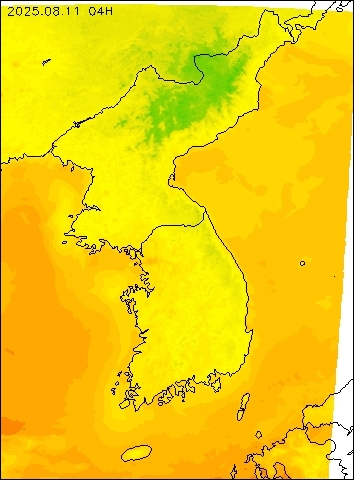 2025-08-11 04 : 00