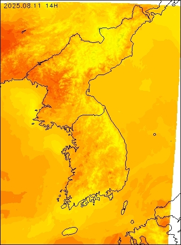 2025-08-11 14 : 00