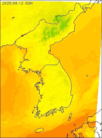 2025-08-12 03 : 00