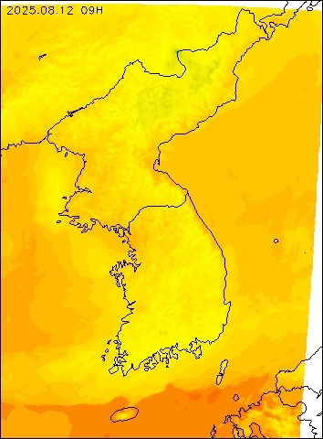 2025-08-12 09 : 00