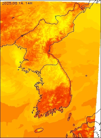 2025-08-14 14 : 00