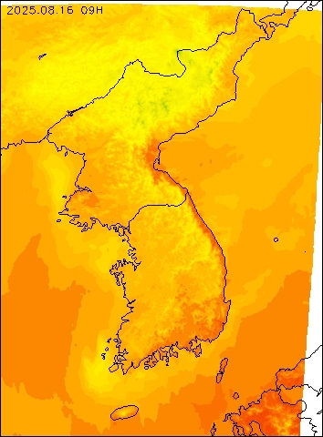 2025-08-16 09 : 00