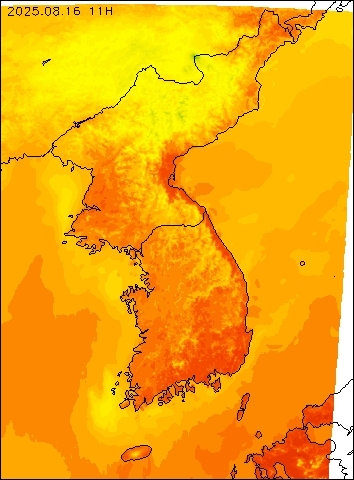 2025-08-16 11 : 00