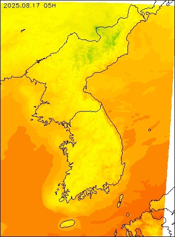 2025-08-17 05 : 00