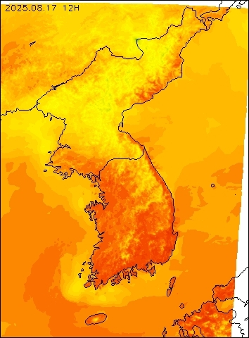 2025-08-17 12 : 00