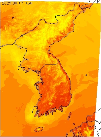 2025-08-17 13 : 00