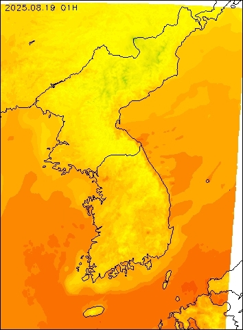 2025-08-19 01 : 00