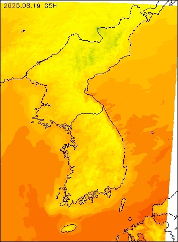2025-08-19 05 : 00