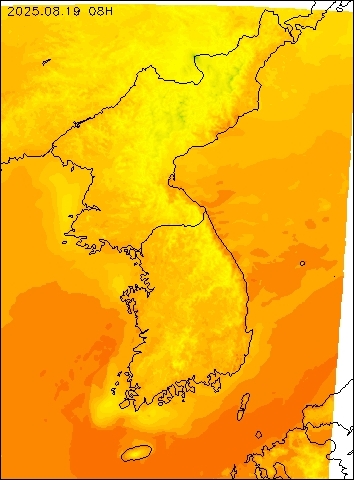 2025-08-19 08 : 00
