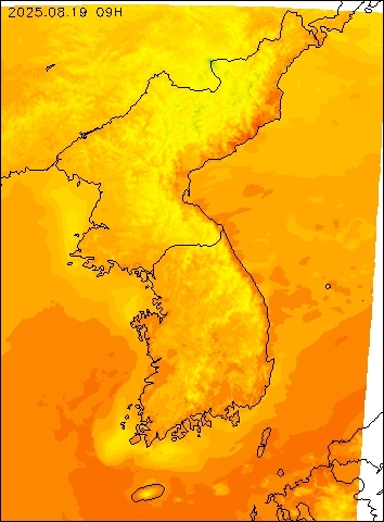 2025-08-19 09 : 00