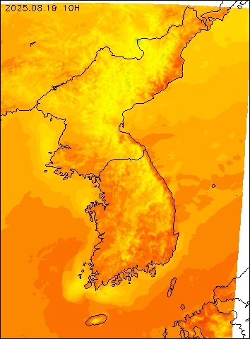 2025-08-19 10 : 00