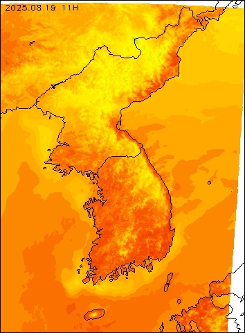 2025-08-19 11 : 00
