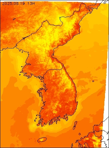 2025-08-19 13 : 00