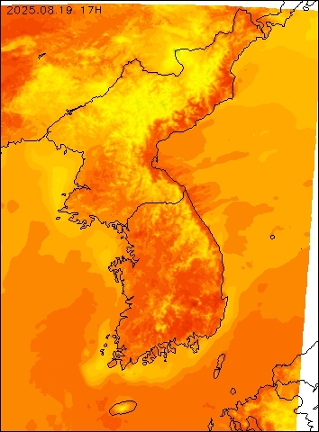 2025-08-19 17 : 00