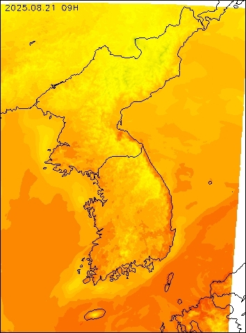 2025-08-21 09 : 00