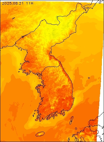 2025-08-21 11 : 00