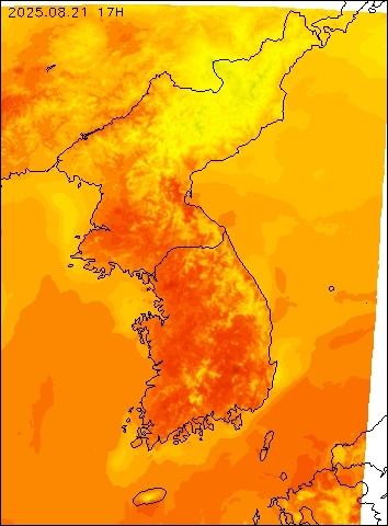 2025-08-21 17 : 00