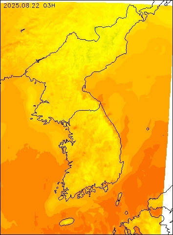 2025-08-22 03 : 00