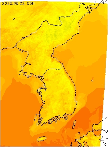 2025-08-22 05 : 00