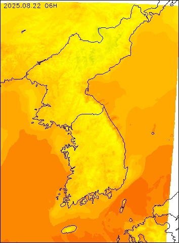 2025-08-22 06 : 00