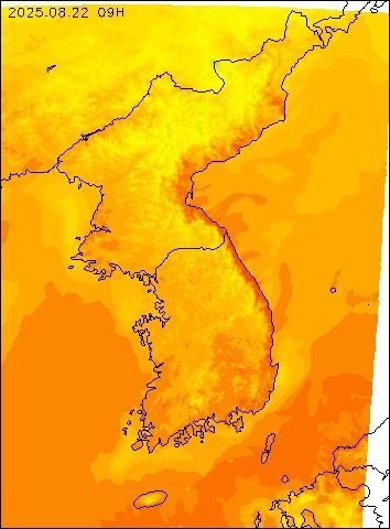2025-08-22 09 : 00