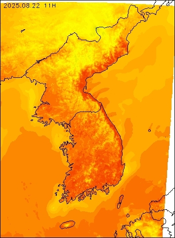 2025-08-22 11 : 00