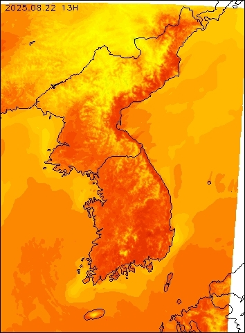 2025-08-22 13 : 00