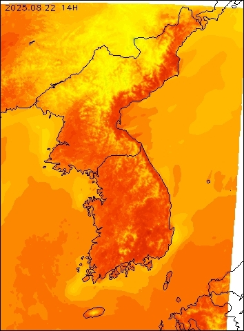 2025-08-22 14 : 00