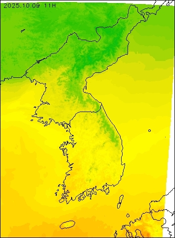 2025-10-09 11 : 00