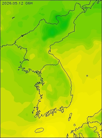 2026-05-12 06 : 00